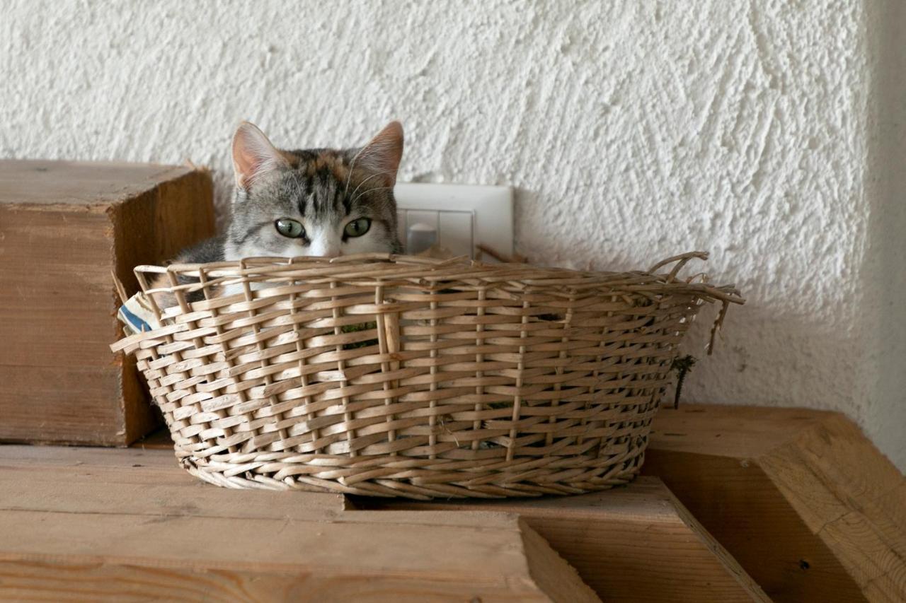 Wohnhof Apartman Lagundo Kültér fotó